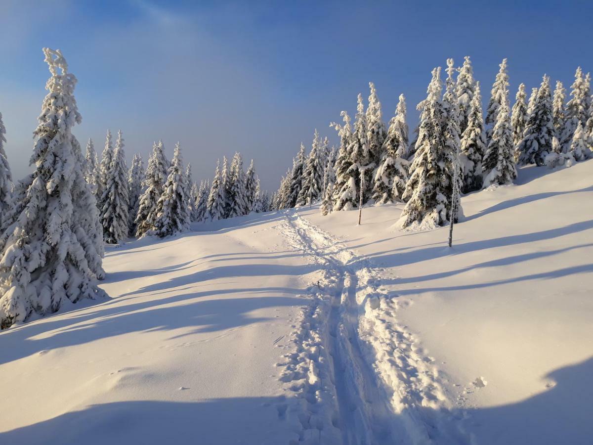 Rekreace Zelba * Strazne